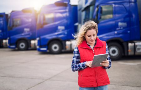 About W Wolf services